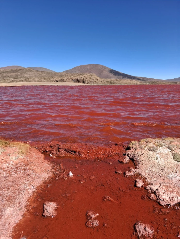 Tour Laguna Roja y Lagunas de Colores (Día Completo)